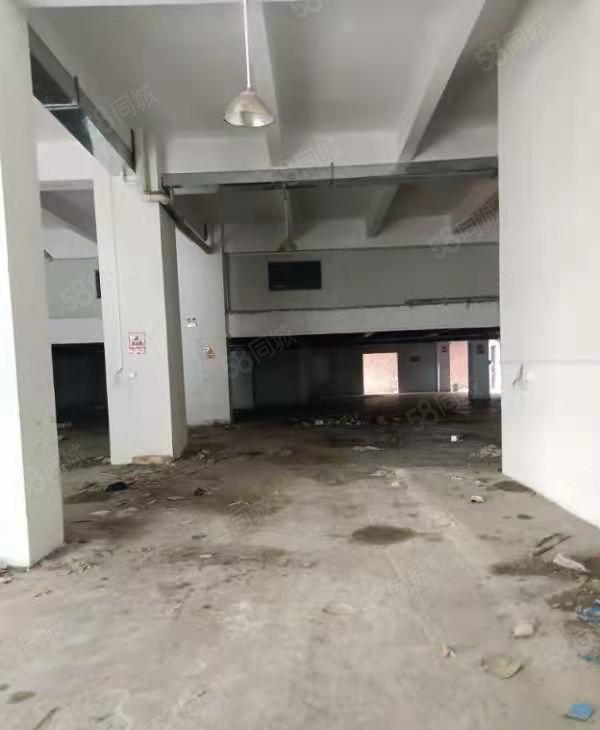 新盘！东莞石碣镇独栋厂房出租！价格便宜！可以分租