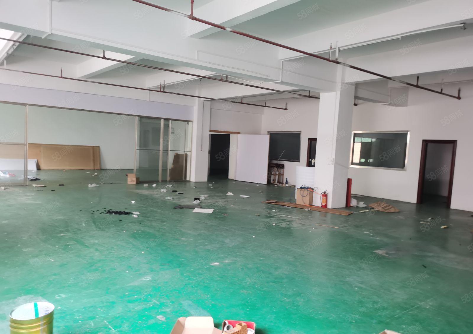 石碣水南厂房三楼800方（精装修  无转让费   好办环评）