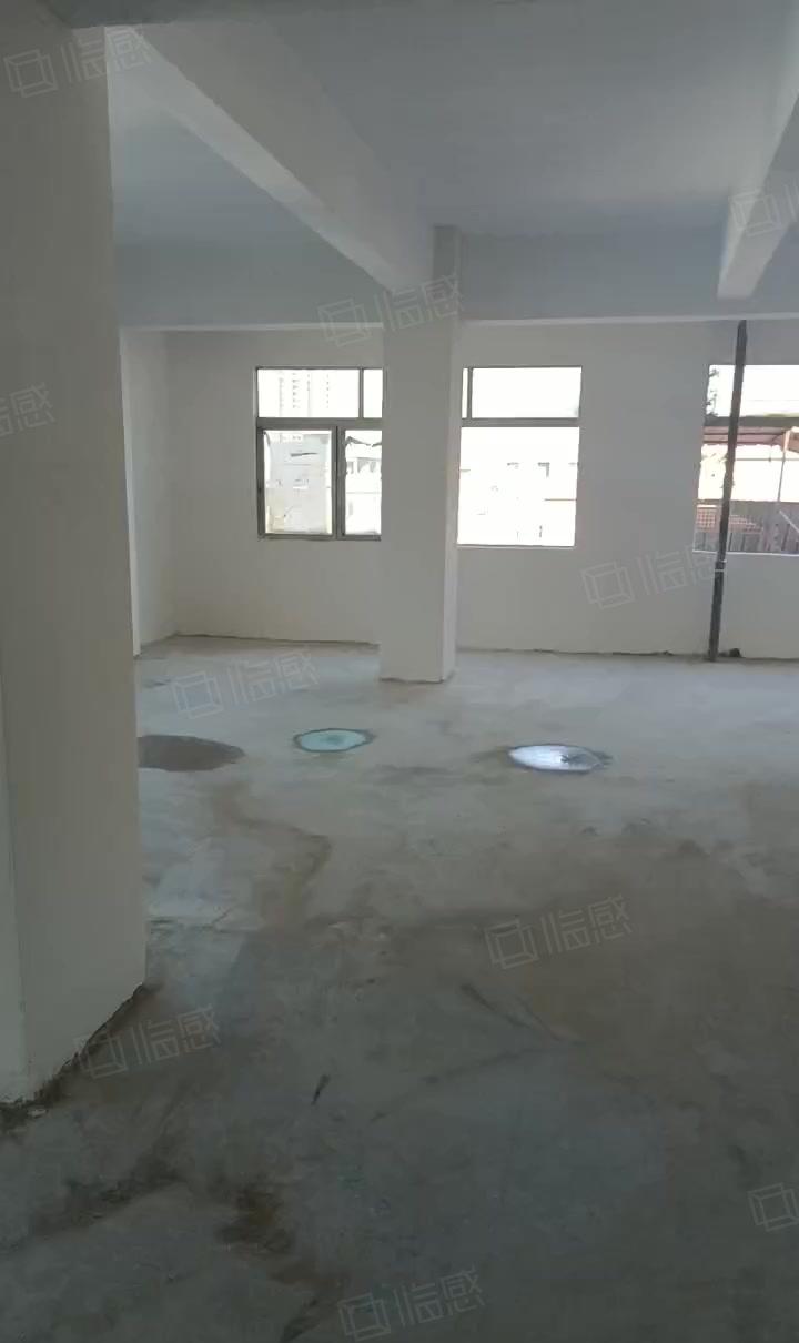 新盘！东莞石碣镇独栋厂房出租！价格便宜！可以分租