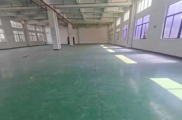 石碣西沙路厂房出租43000平20000平方起