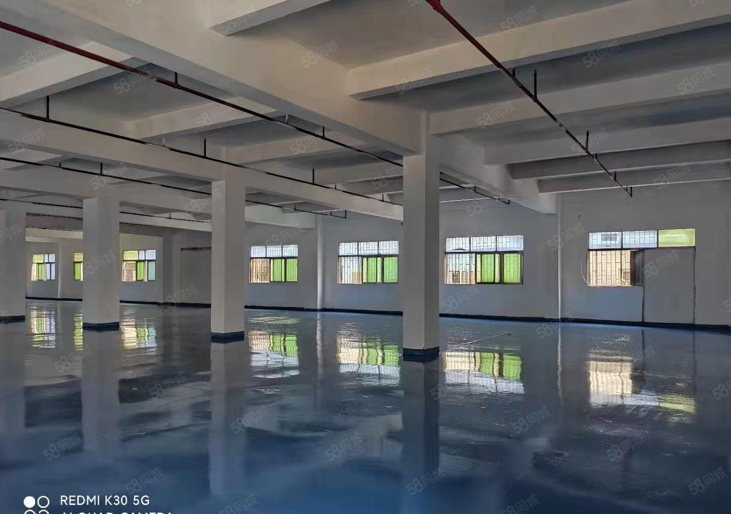 新盘！笋盘！石碣镇工业区一楼1700方全新地坪可办环评