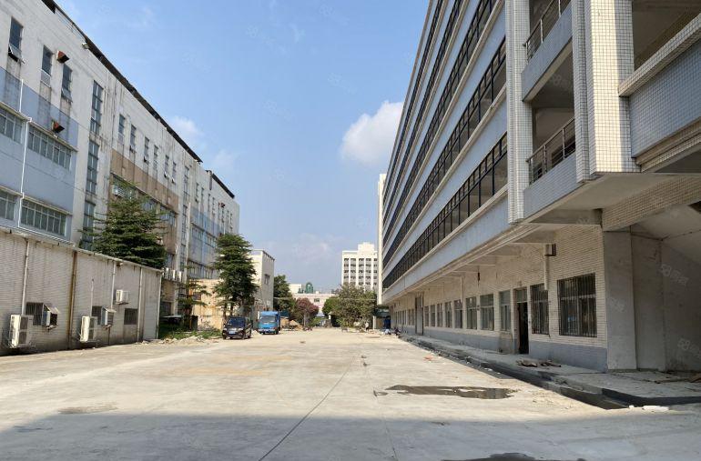 石碣标准厂房，停车充足，近高速路口