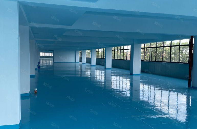 石碣标准厂房，停车充足，近高速路口