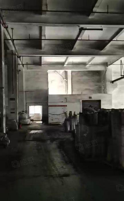 石碣四甲工业园区厂房一楼3300平方，可分租，园区形象好