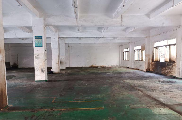 石碣独门独院标准厂房650平方，水电办齐全，价格实惠！！