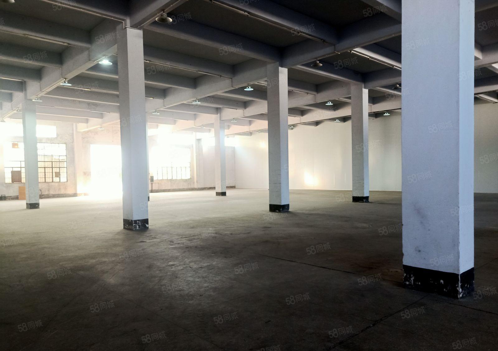 石碣小独院668平米厂房火爆出租