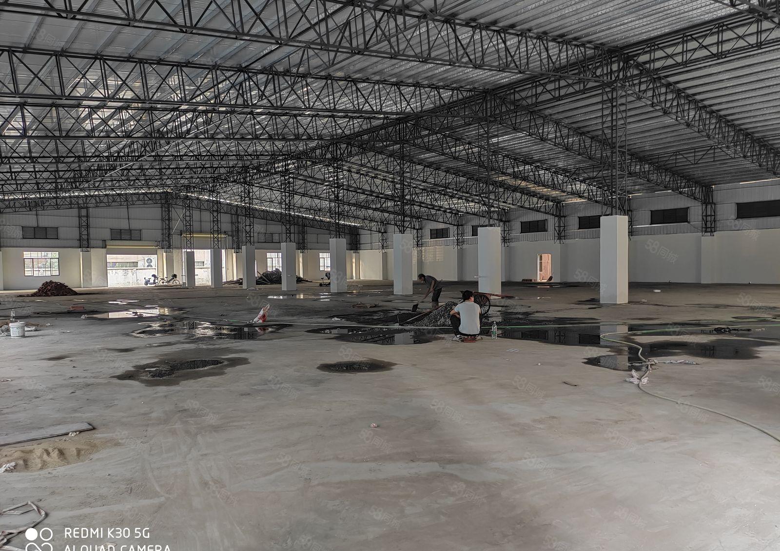 石碣（原房东）全新独院单一层2500方（滴水7米  内外全）