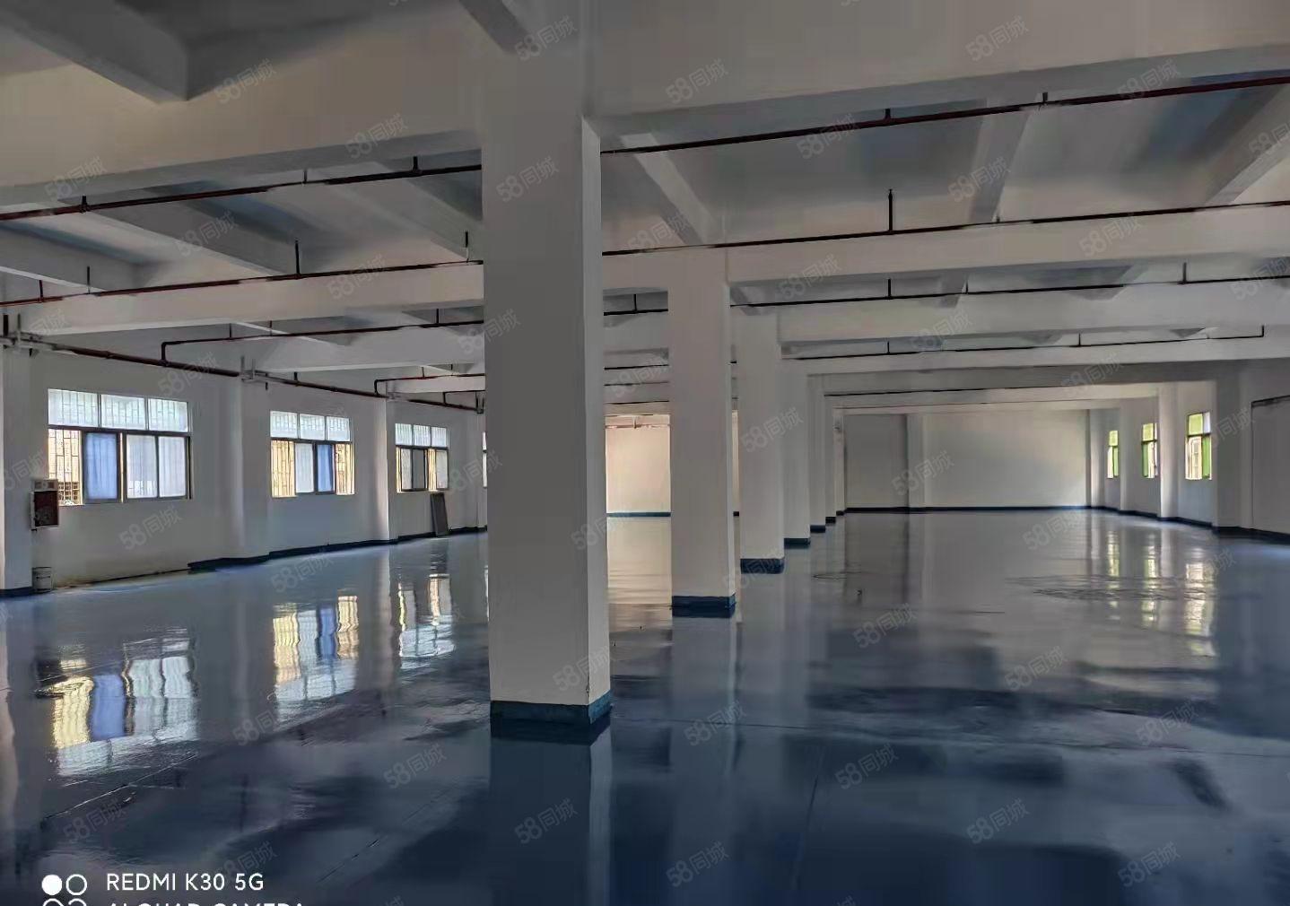 新盘！笋盘！石碣镇工业区一楼1700方全新地坪可办环评