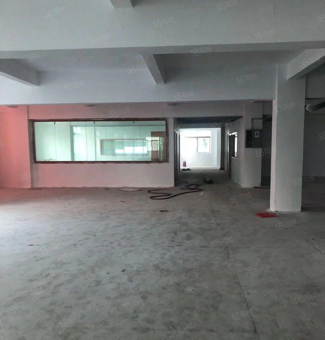 东莞石碣中心全新三层厂房4100方，可分租可办环评