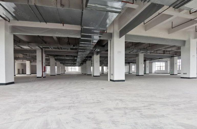 原房东独院厂房仓库直租 水电现成 带消防喷淋，可分租