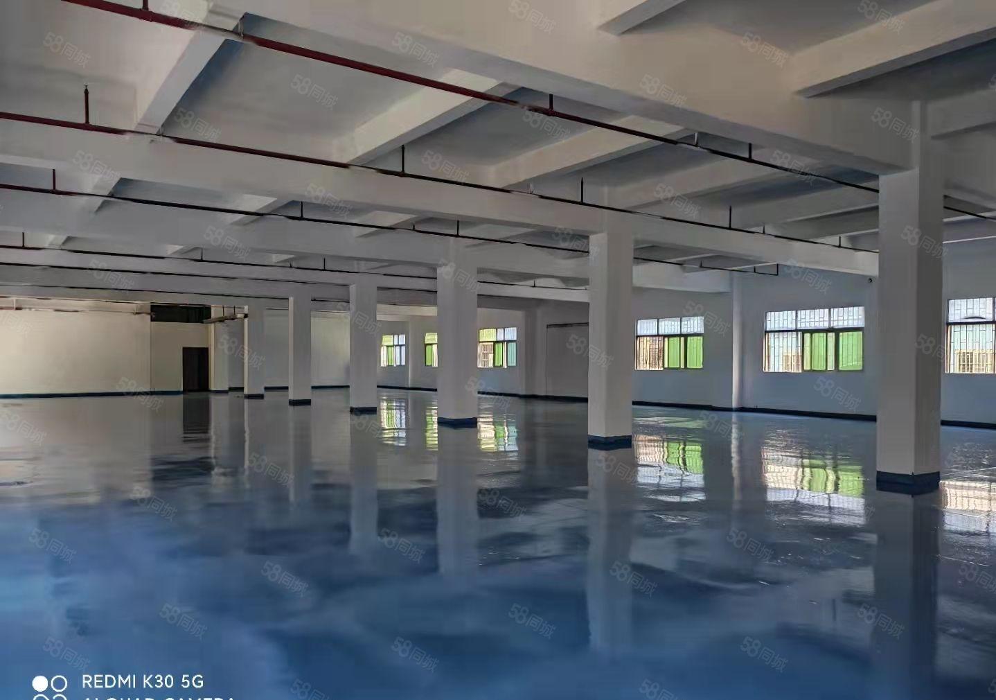 新盘！笋盘！石碣镇工业区一楼1700方全新地坪可办环评