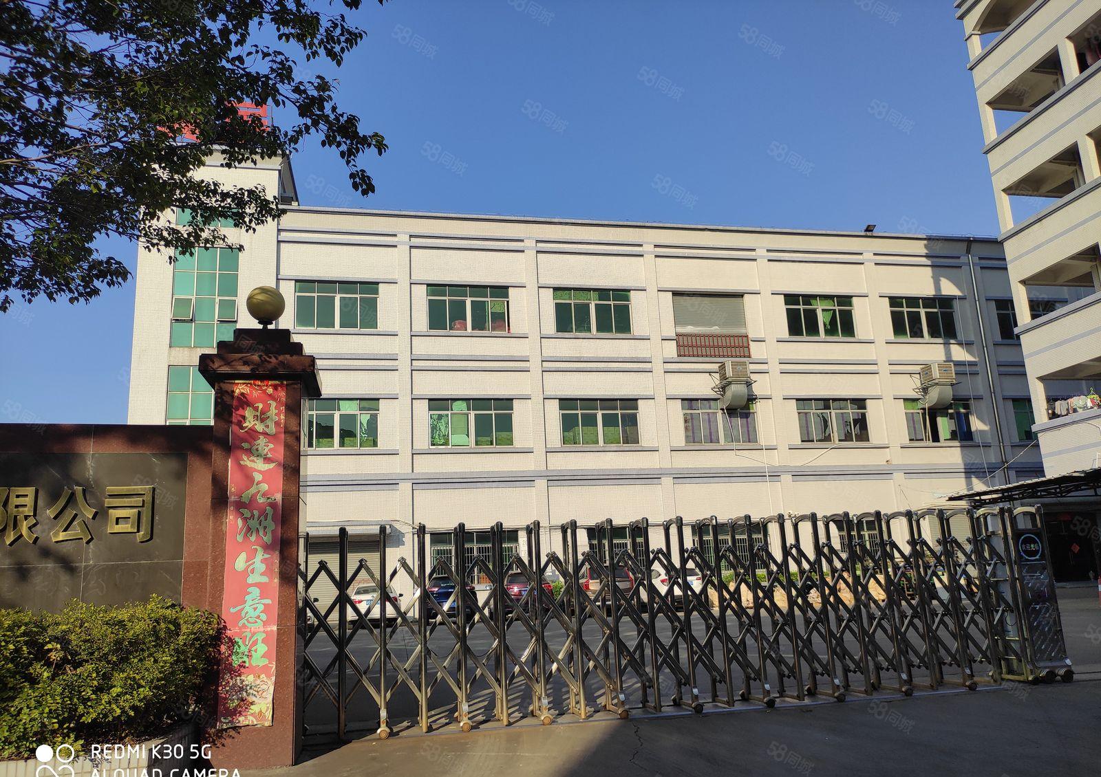 石碣独院厂房三楼1400方（无公摊 精装修 电费便宜）