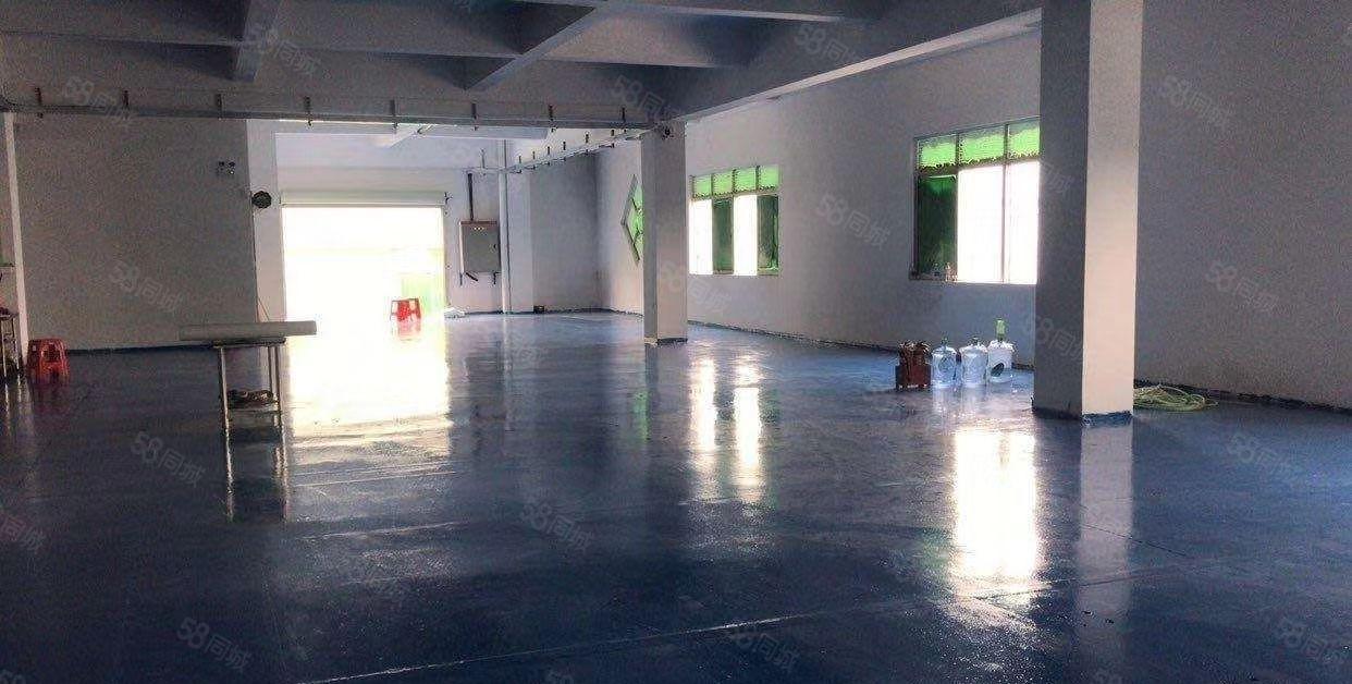 新出！石碣镇厂房招租一楼600方进出方便！合适各种行业！