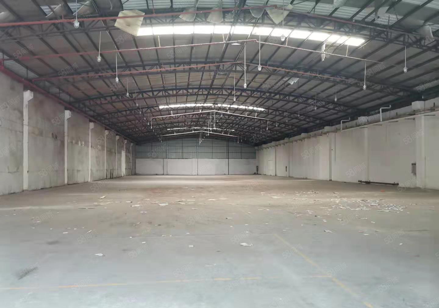 石碣横滘招租独院钢结构1000平方，层高8米，可随时入驻！