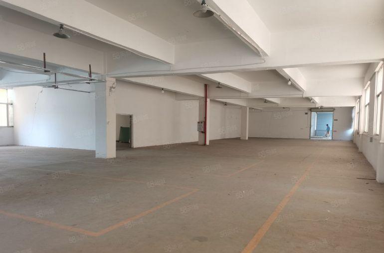 石碣镇新出村委会厂房1200平实际面积出租。价格便宜好停车