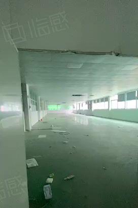 石碣工业区低价厂房出租独门独院空地大分组二楼一层带精装