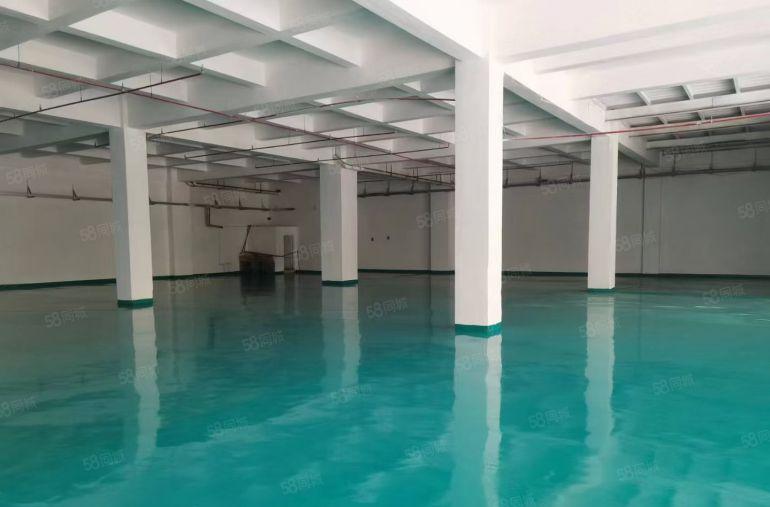 石碣四甲村一楼500方 低价独院（全新地坪漆 送装修）