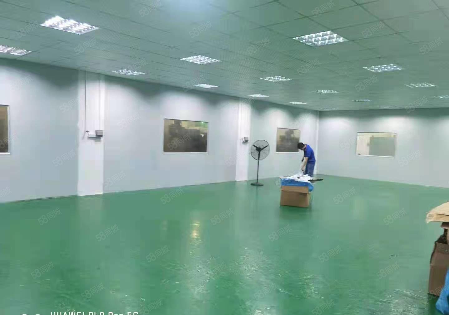 石碣刘屋独院厂房二楼1000方（精装修  无转让费  空地）