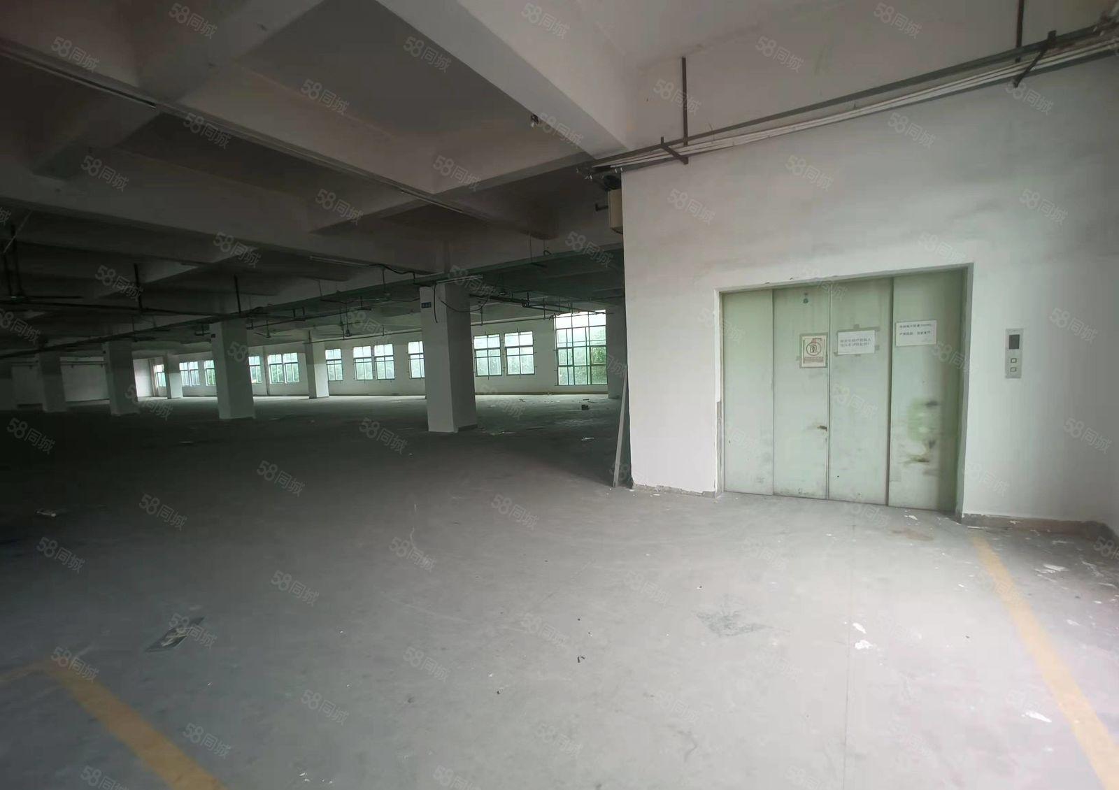 石碣镇村委空出工业园区独栋标准厂房出租四层8000平方