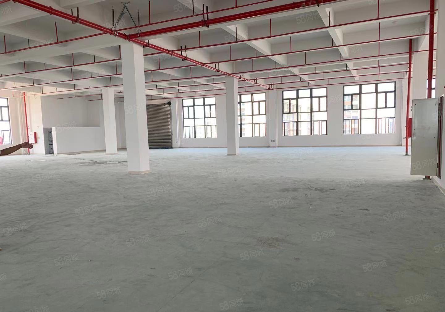 石碣全新标准工业厂房招租