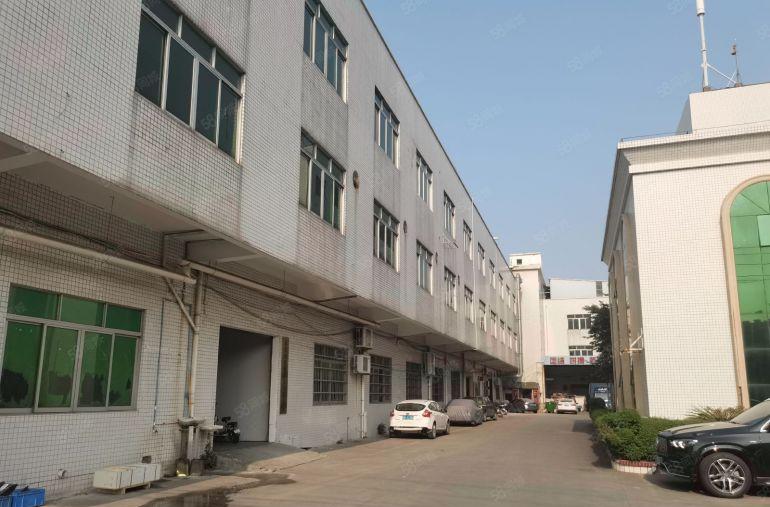 石碣镇带独立办公楼厂房共三层5000平方独院800平方起分租