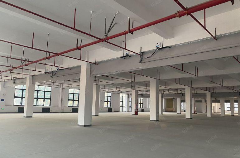 原房东独院厂房仓库直租 水电现成 带消防喷淋，可分租