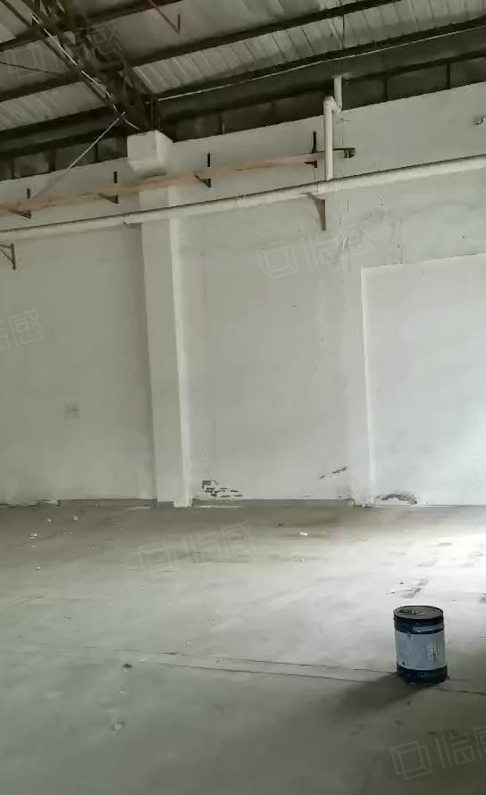 石碣横滘招租独院钢结构1000平方，层高8米，可随时入驻！