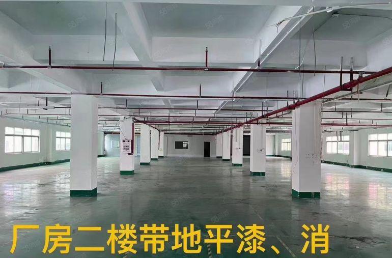 石排花园式独院厂房分租，租金16元平方