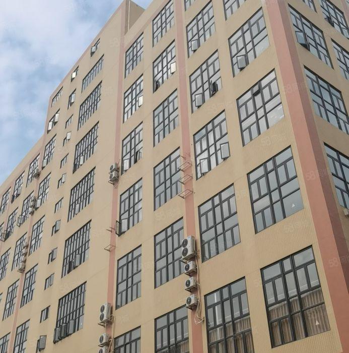 石碣桔洲低价厂房出租3500平方起分租价格10元起