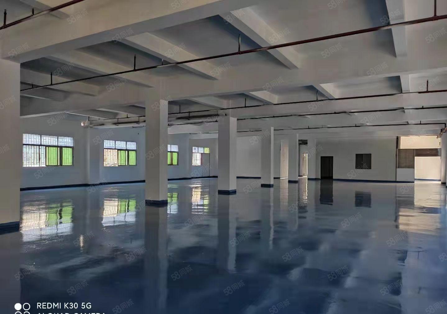 新盘！笋盘！石碣镇工业区一楼1700方全新地坪可办环评