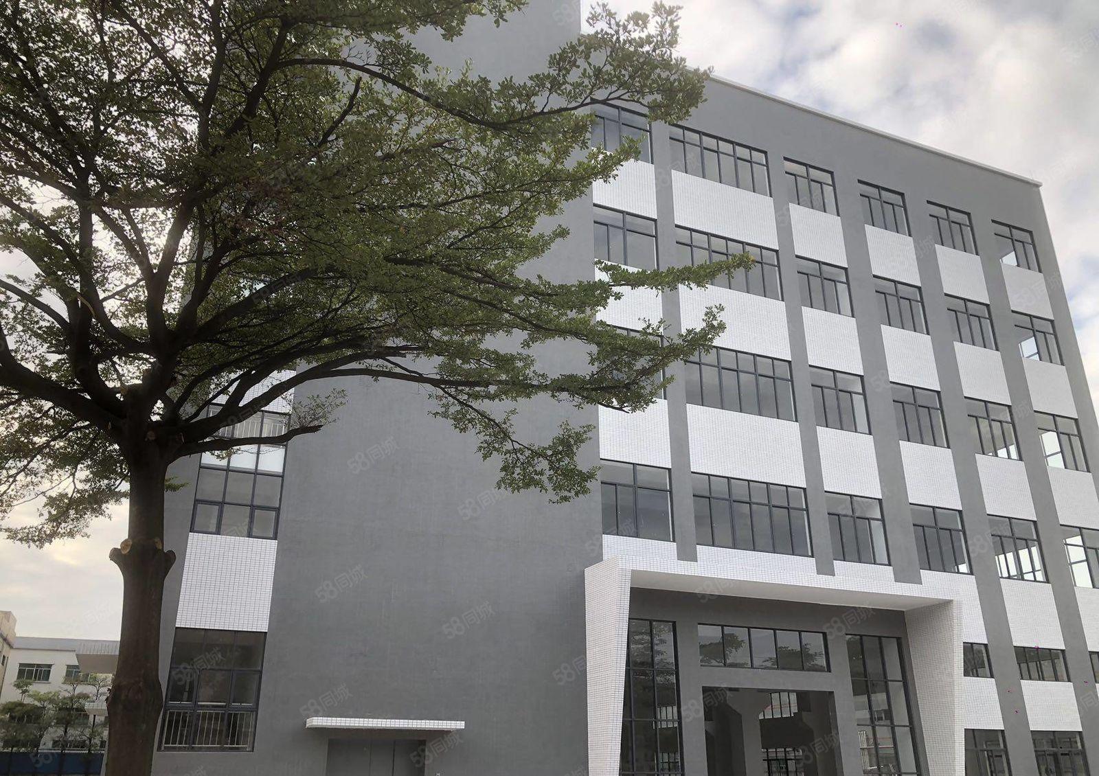 特价厂房招租原房东23000平独院带大货梯  500平米起租