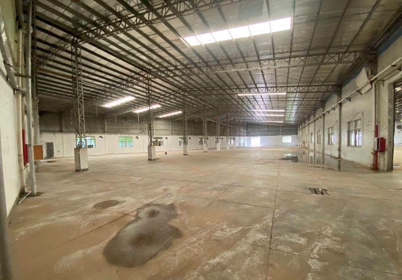 形象好石龙新出钢结构低价厂房出租可分租设备五金仓库出租空地大