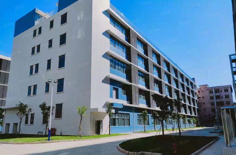 业主直租10块一平！石龙二桥旁1500平全新红本厂房出租