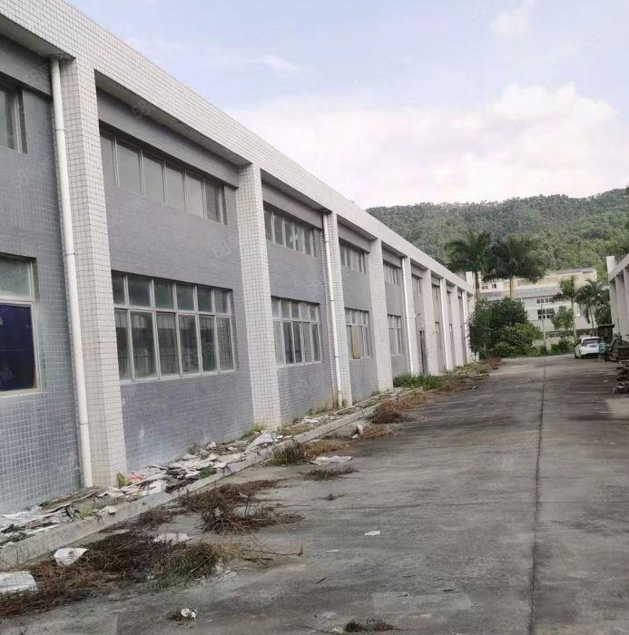 清溪单一层独院2000平方，原房东直租