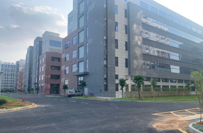 东莞市清溪镇铁松村原房东国有红本花园式标准厂房出租