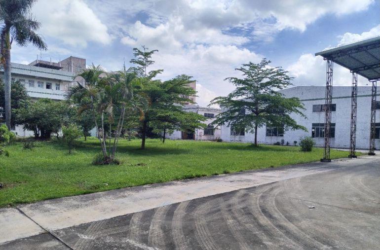 清溪渔梁围新出滴水9米花园式厂房，砖墙到顶