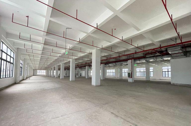 清溪全新厂房出租，每层6部电梯，园区配套齐全！