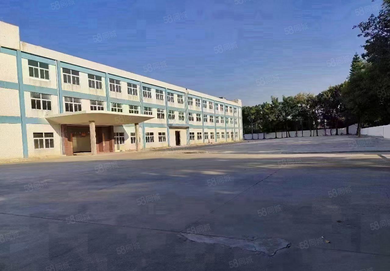 清溪镇原房东独门独院红本厂房出租面积实量水电可过户大小可分租