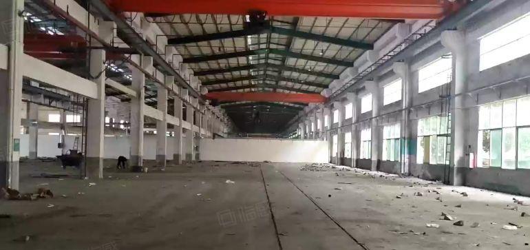 00平起租 清溪大利独栋单一层厂房6500平方 滴水12米高