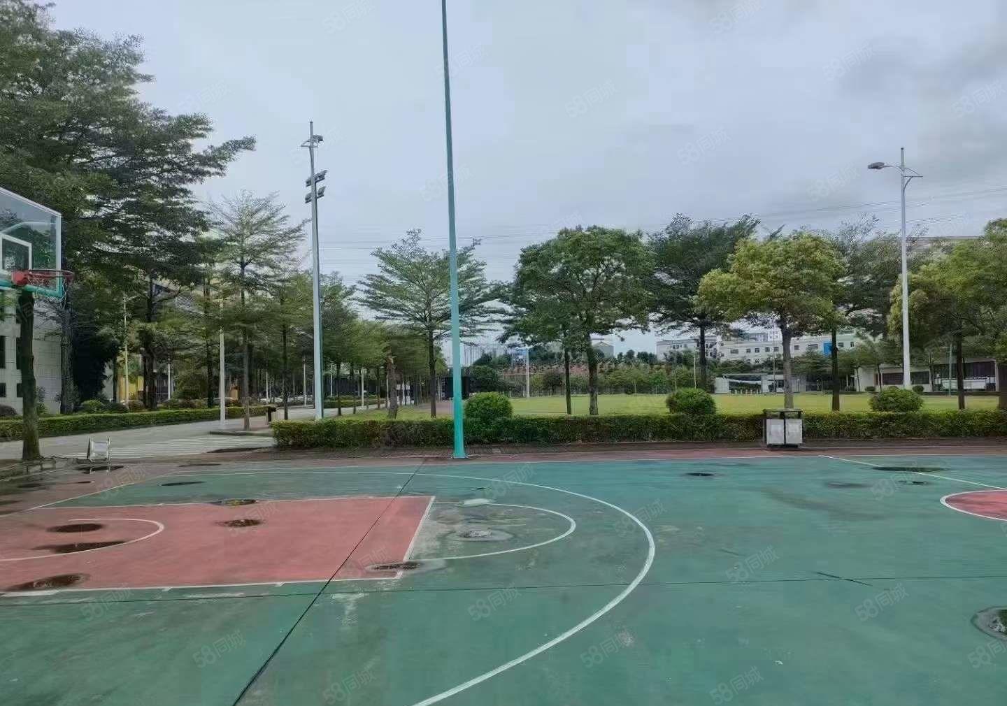 原房东直租清溪铁松独门独院厂房5000平方 精装修 价格优惠