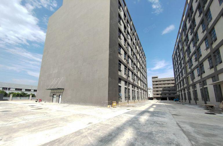 清溪镇原房东全新一楼3000平米厂房出租，带牛腿，层高7米