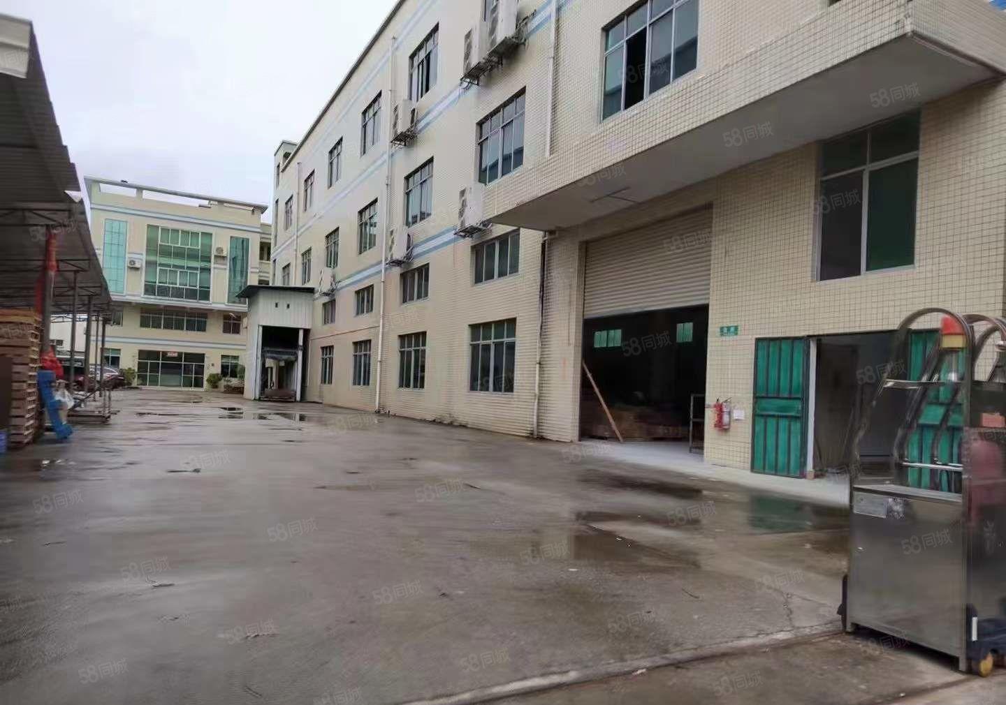 原房东出租清溪三中独门独院厂房3000平方 精装修 价格优惠