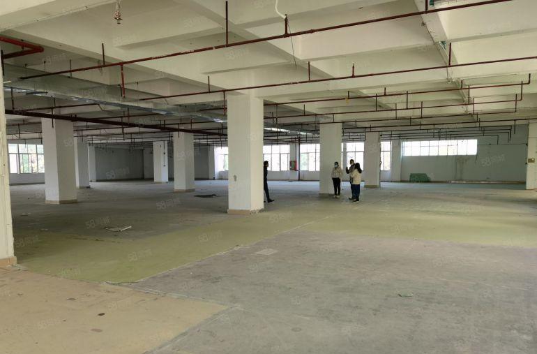 100平起分清溪三中工业区厂房出租一楼仓库招租9元厂房出租合