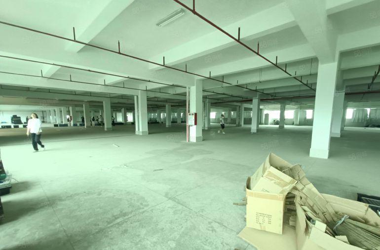 清溪镇三中村新出楼上3000平，精装修，俩台标准3顿货梯