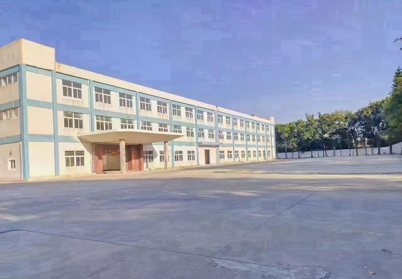 清溪镇原房东独门独院红本厂房出租面积实量水电可过户大小可分租