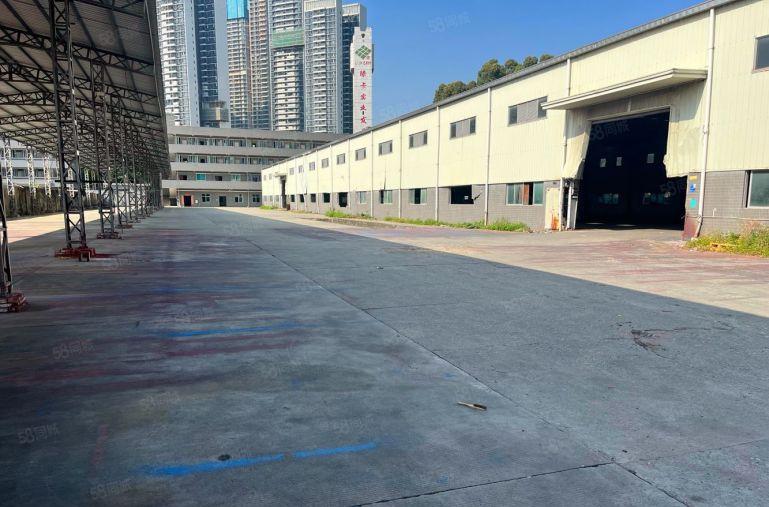 清溪三中新出原房东钢结构2200平方厂房出租滴水9米中间无柱