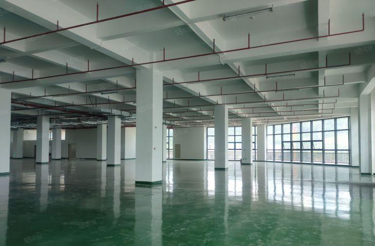 低价，清溪谢坑3000平方红本物流仓库出租1000平方起分租