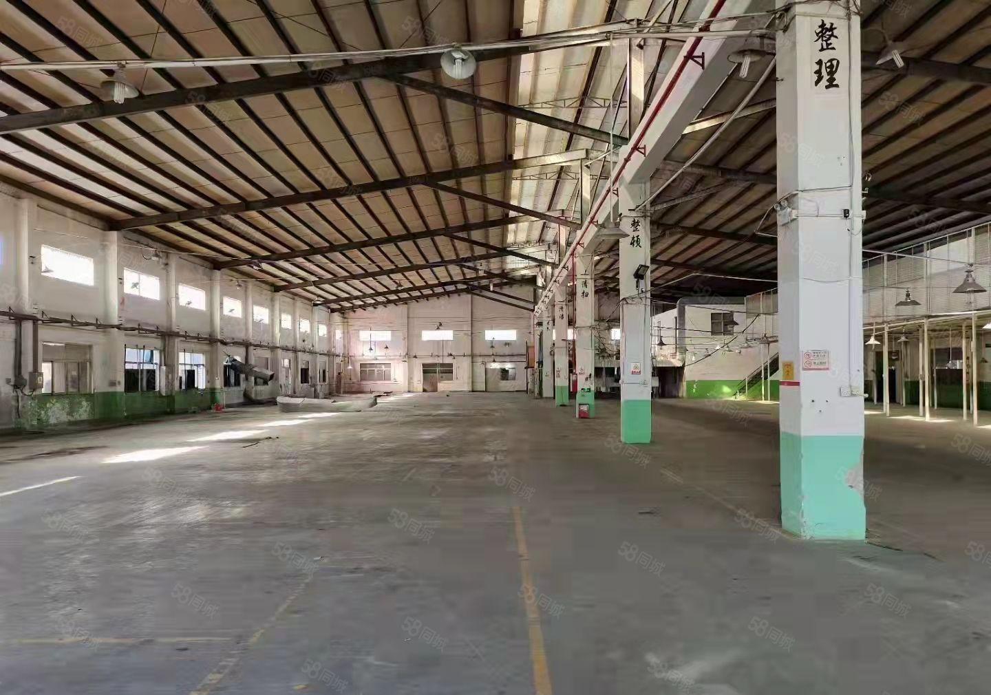 东莞清溪罗马新出独院钢构厂房3600平米出租