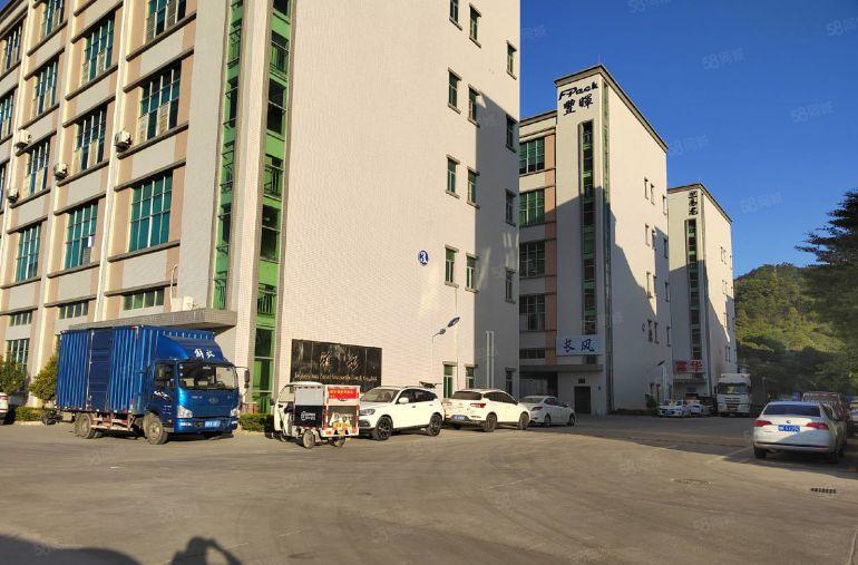 清溪三中新出成熟园区全新一楼厂房1200平低价出租 带牛角