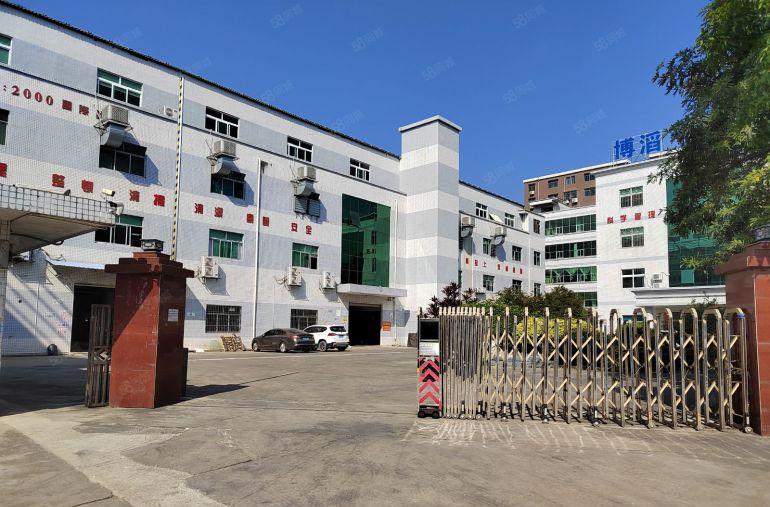 清溪镇大利村 原房东标准楼上300平厂房出租 带装修办公室